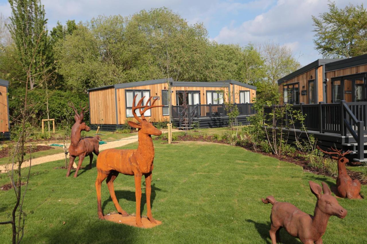 Sandy Balls Holiday Village Fordingbridge Exteriör bild